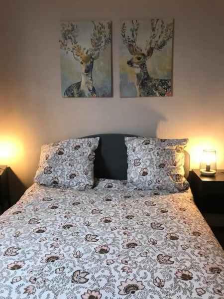 Bel Appartement Hypercentre T3/70 M2 Клермон-Ферран Экстерьер фото
